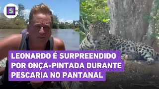 Leonardo é surpreendido por onça-pintada durante pescaria no Pantanal