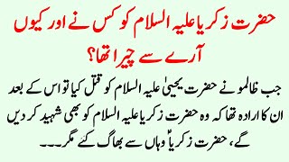 Hazrat Zakariya A.S Aur Hazrat Yahya A.S Ki Shahadat Ka Waqia ॥ Prophet Stories ॥ Noorani Talks