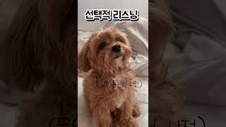 여름인데 습관적 리스닝할래 자꾸?