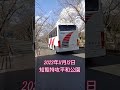 南州交通バス🚌晩秋の知覧特攻平和桜並木を走る🚌2023年11月13日🚍知覧特攻平和公園 nanshu kotsu bus ran through the chiran cherry trees.