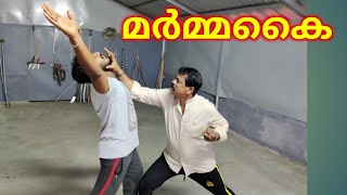 ചെയ്മുറൈ , മർമ്മ പ്രയോഗം ചെയ്യുന്ന വിധം. Siva marma Kalari self defence school.