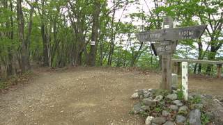 軍畑〜岩茸石山〜白谷沢〜名栗湖ハイキング