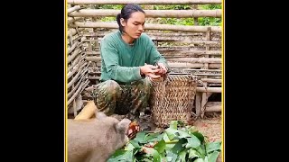 第一百零二集丨野外生存，制作越南特色笋干用于销售