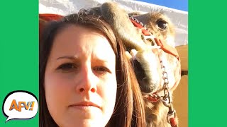 She's About to REGRET EVERYTHING! 😂🐪 | Funny Videos | AFV 2020