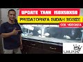 UPDATE IKAN PREDATOR DI TANK 150x50x50