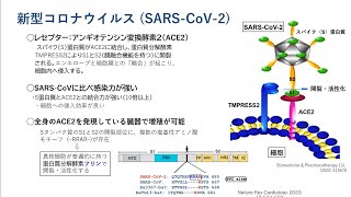 【ウィズ／アフターコロナ期をどう過ごすか－わかってきたバイオロジー、疫学、過ごし方】　パート１　金沢大学　市村宏教授　講演