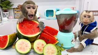 Dad guides Baby Monkey Bim Bim and Obi enjoys delicious watermelon fruit juice