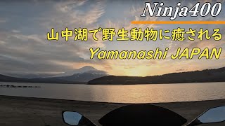 【Ninja400】山中湖の砂浜にバイクで行ったら可愛い出会いが！ / Explore japan travel. motorcycle POV ride. Yamanashi Japan.