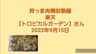 狩っ多肉開封動画楽天【トロピカルガーデン】さん2022年9月15日