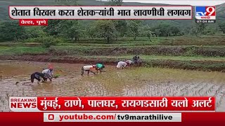 Pune Farmers News | पारंपारिक भलरीची गाणी म्हणतं शेतकऱ्यांची भात लावणी