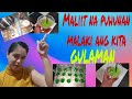 NEGOSYONG MALIIT ANG PUHUNAN|| PERO MALAKI ANG KITA||DIOSA NG BRILLANTES