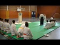 exhibicion aikido niÑos dojo tenchi murcia .wmv