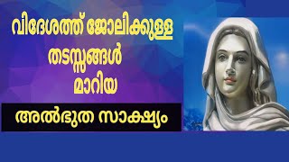 വിദേശത്തേക്കുള്ള എല്ലാ തടസ്സങ്ങളും മാറ്റുന്ന അമ്മ