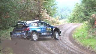 WRC Wales Rally GB 2019 | SHAKEDOWN [HD]