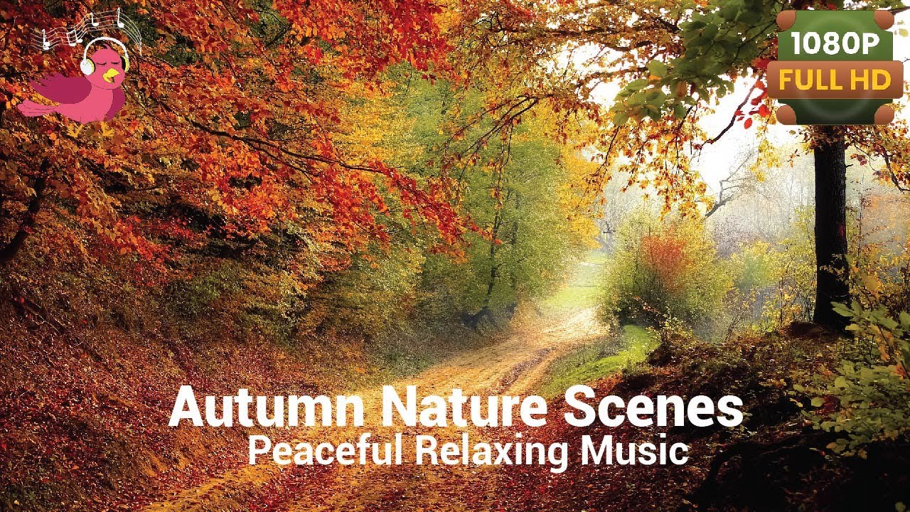 Beautiful Relaxing Music, Peaceful Soothing Instrumental Music ...