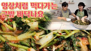 🔴 남편이 갓 담은 이 김치 너무 좋아해요. 간단히 담지만 맛은 최고 👍👍 열무얼갈이물김치입니다.