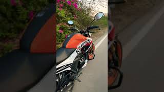 Honda Hornet 2.0 Repsol Edition All New 2022 #shorts #hornet2