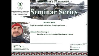 Seminar session on Tropical tree hydraulics in a changing climate