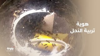 هواية تربية العسل | مهرجان الوثبة للعسل