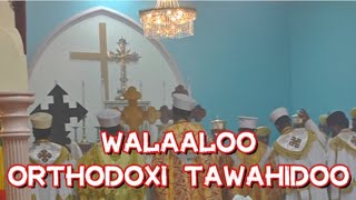 24 March 2022 walaloo orthodoxii tawahido jedhu qabadhe dhufera nafana tura