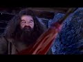 Hagrid all magic scenes