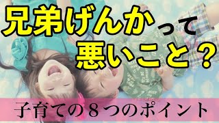 【きょうだいの子育て】兄弟喧嘩って、悪いこと？