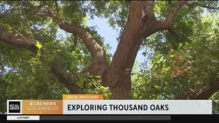 SoCal Spotlight: Exploring Thousand Oaks