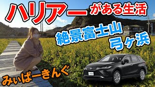 【新型ハリアー】でみぃぱーきんぐが西伊豆スカイラインをドライブ。絶景富士山や菜の花畑、弓ヶ浜を堪能してきました。トヨタ/TOYOTA/HARRIER