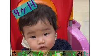 【生後9ヶ月】きゃらくるカートに乗って遊んでいる赤ちゃんが可愛すぎる！！！【1分動画】