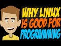 Why Linux is Good for Programming