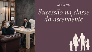 Aula 28 -  Sucessão na classe do ascendente