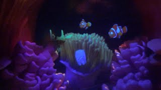 ºoº ニモのアトラクション ファインディングニモ ドリー サブマリンヴォヤッジ at CLディズニーランド Finding Nemo Submarine Voyage at Disneyland