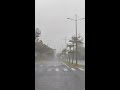 Super typhoon Yagi makes landfall in south China's Hainan