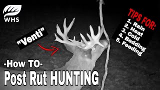 How To Hunt The Post Rut