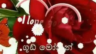 හායි මගේ යාලුවනේ 😍😍😍සුහ උදැසනක් වෙවා 🌹🌹🌹🌹🌹🌹හැමෝටම තෙරුවන් සරනයි 🙏🙏🌹🌹🌹🌹🌻🌻🌻