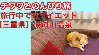 チワワとのんびり旅6泊7日【ダイエット】三重県湯の山温泉♨