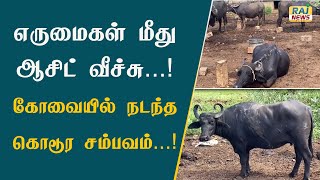 எருமைகள் மீது ஆசிட் வீச்சு...! கோவையில் நடந்த கொடூர சம்பவம்...! | Kovai | Buffalo