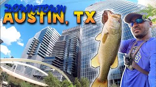 Urban Creek Fishing in Downtown Austin, TX