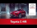 Toyota C-HR Team Deutschland