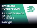 Divi Theme Hover Effects Full Width Image To Text On Hover 👍