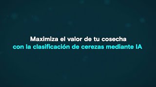 Maximiza el valor de tu cosecha con la clasificación de cerezas mediante IA