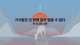 2025년 2월 11일 새벽기도회(가시밭은 단 번에 갈아 엎을 수 없다)