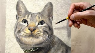 【油絵タイムラプス】猫を描く｜Oil Painting Time Lapse｜Cat