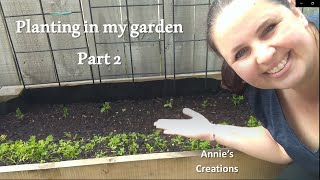 Experimenting with carrot starts in the garden and more