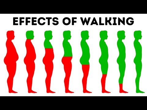 What Will Happen to Your Body If You Walk Every Day What Will Happen to Your Body If You Walk Every Day