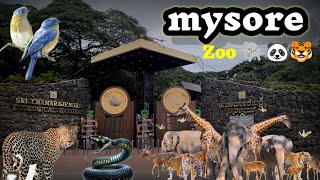 MYSORE ZOO 2024  | Full HD | One of the oldest best zooI Sri Chamarajendra ZoologicalGardens IMysore