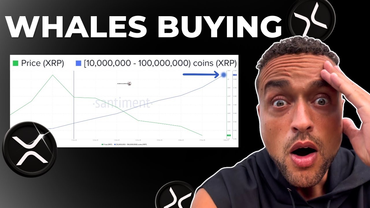 Xrp Everything Just Changed Youtube