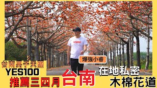 必去景點！三四月份台南最紅的私密景點 - 將軍木棉花道｜台南木棉花｜木棉花季2022｜台南景點｜台南賞花｜白河林初埤木棉花道｜苓子寮木棉花道｜花旗木步道｜Yes100