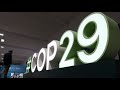 COP29: What should be the focus of the UN climate summit?