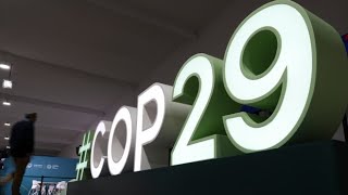 COP29: What should be the focus of the UN climate summit?